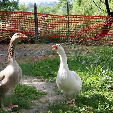 La Casetta Di Piera *