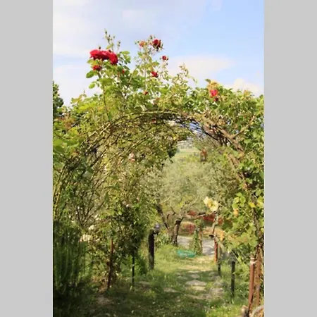 Apartmán La Casetta Di Piera